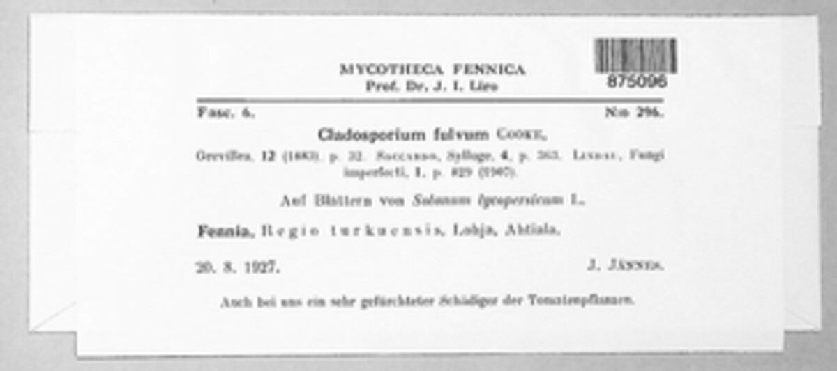 Fulvia fulva image